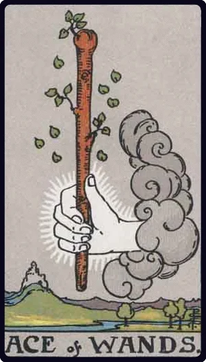 Ace of Wands tarot card - New creative projects and passionate beginnings